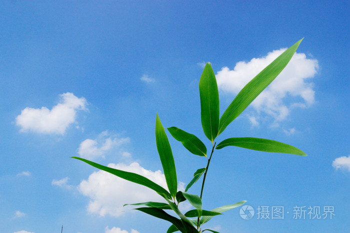 王者荣耀貂蝉被到爽小说,精品国产av,狠狠色噜噜狠狠狠狠mv